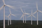 Green Power for Business Consulting